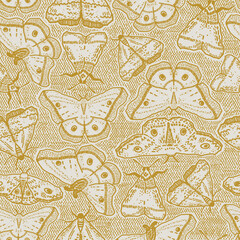 Mustard yellow toile insect repeat pattern. Illustration with hand-drawn stripe texture.  Insect design with wiccan alchemy look. Monochrome moth or butterfly drawing. Fall seasonal pattern.