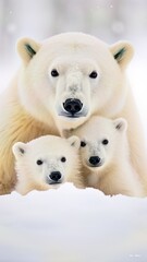 A Polar Bear Family Huddled Together in a Snowstorm Arctic Bonds