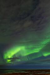 aurora borealis over the sea in Iceland