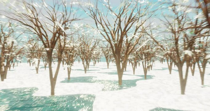 Animation of rows of trees and snow
