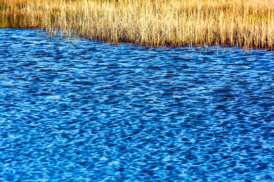 Close-up view of the water of Gialova Lagoon. The Gialova Lagoon is one of the most important wetlands in Europe.