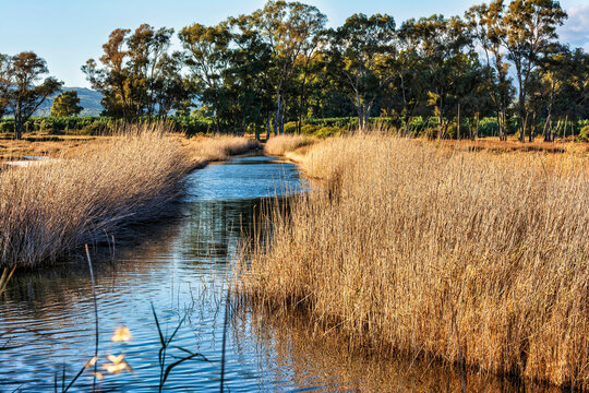 View of Gialova lagoon. The Gialova lagoon is one of the most important wetlands in Europe.