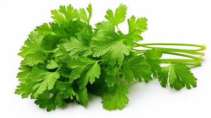 a vibrant parsley plant, with bright green, curly leaves that serve as a versatile garnish and flavor enhancer