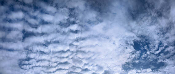 Błękitne niebo z białymi chmurkami, blue sky - obrazy, fototapety, plakaty