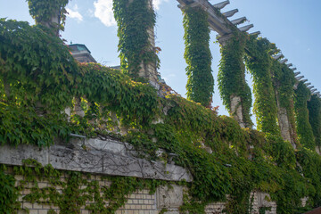 The columns are wrapped in green curly plants at The Castle Garden Bazaar. Hungarian capital Budapest