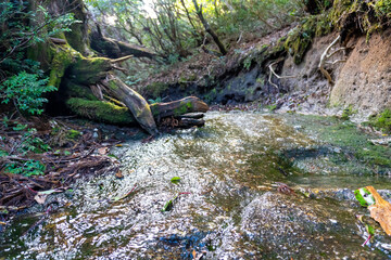 The view between Hananoegou and Mt. Kuromi in Yakushima