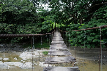 Old Rickety bridge in the jungle.