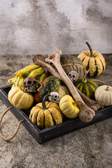 Halloween still life with pumpkin and bones