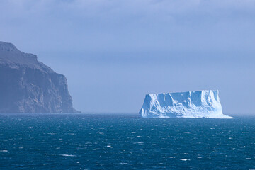iceberg in polar regions