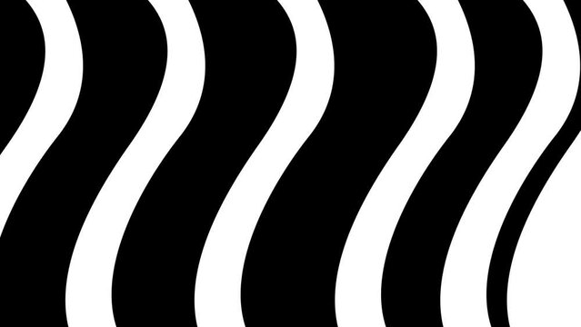 black and white wave pattern lines moving into one color. Copy space effect with white color at end for smooth video transitions