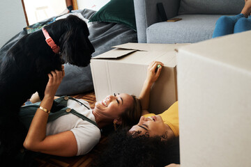Moving, boxes and couple with a dog in home, living room or women relax together on floor bonding with puppy or pet. New house, happiness or people with love for animal and investment in property