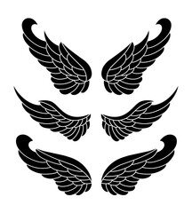 set of bird wings silhouettes on white background