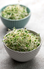 Microgreens grown in a jar.