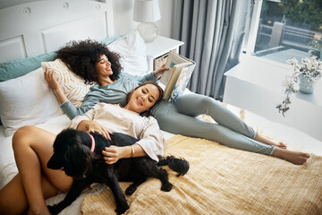 Dog, bed and happy lesbian couple in home, morning and relax together reading book. Pet, bedroom and gay women with animal, bonding and play in healthy relationship, love connection and interracial - obrazy, fototapety, plakaty