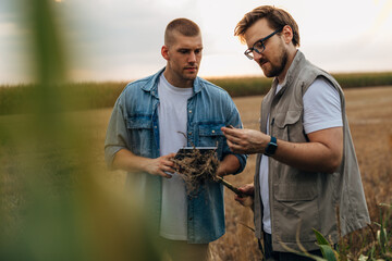 Two man in the field examining the root of a plant.