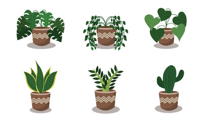 Hand drawn flat houseplant collection