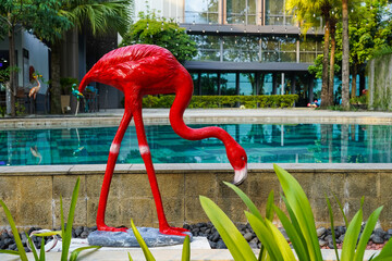 flamingo birds, by the swimming pool