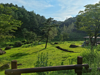 Fototapeta na wymiar This is a dolmen park located in Jeolla-do, South Korea.