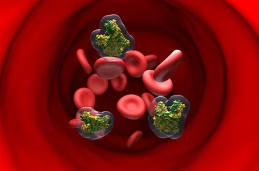 Foto op Aluminium Botulinum neurotoxin (BTA) molecules in the blood flow - section view 3d illustration © LASZLO