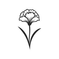 Carnation flower icon