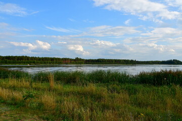 A view of a vast yet shallow lake covered from all sides with reeds, grass, herbs, and other flora spotted on a cloudy yet warm summer day on a Polish countryside during a hike