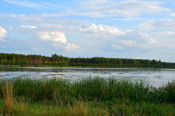 A view of a vast yet shallow lake covered from all sides with reeds, grass, herbs, and other flora spotted on a cloudy yet warm summer day on a Polish countryside during a hike