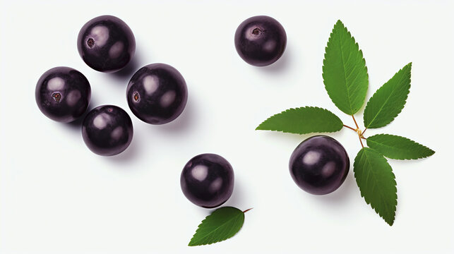 Frische Acai Beeren mit einzelnen Bl&auml;ttern und Kerne isoliert auf wei&szlig;em Hintergrund, Berries with generative KI
