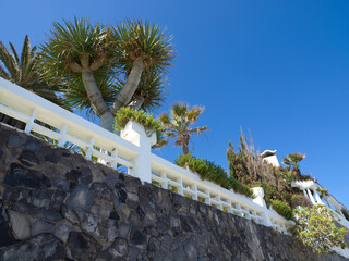 Die Insel Teneriffa im Atlantik
