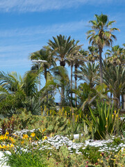 Die Kanareninsel Teneriffa