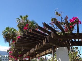 Die Kanareninsel Teneriffa