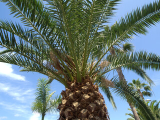 Die Kanareninsel Teneriffa