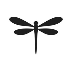 Flying Dragonfly Illustration