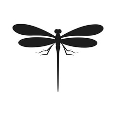 Flying Dragonfly Illustration