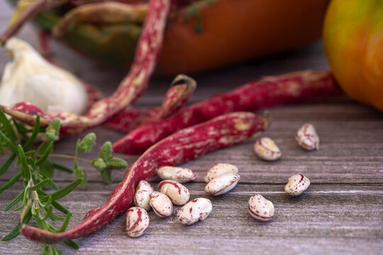 Borlotti Bohnen - aus Italien