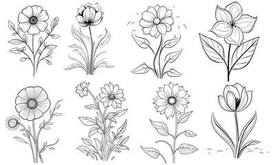 set of black outline flowers for coloring book, PNG, generated ai