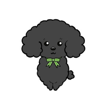 黒いトイプードル