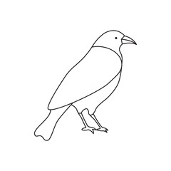 Birds logo design inspiration simple, luxury, creative line art or monoline nature.