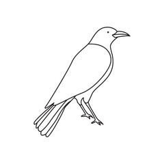 Continuous line drawing birds vector illustration animal bird minimalism for tattoo, logo, and poster. Simplicity style design.