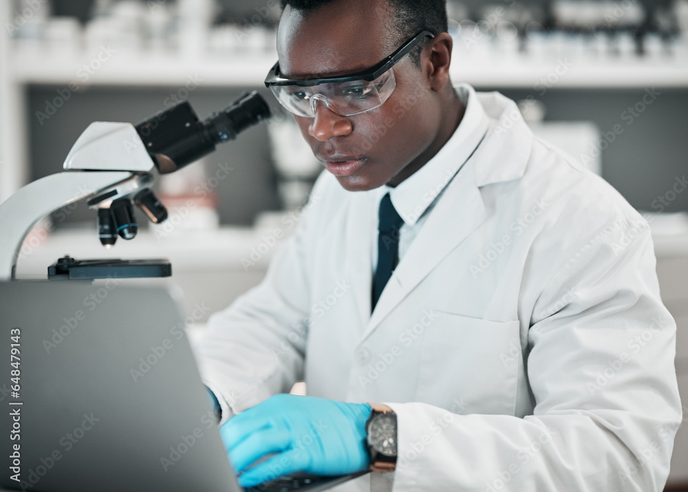 Wall mural science, laptop and black man with research, medical and microscope with healthcare, typing and chem