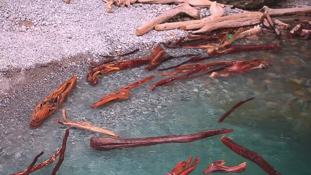 The flow of water carries the logs into the funnel. A stormy river washes away a forest, a flood.