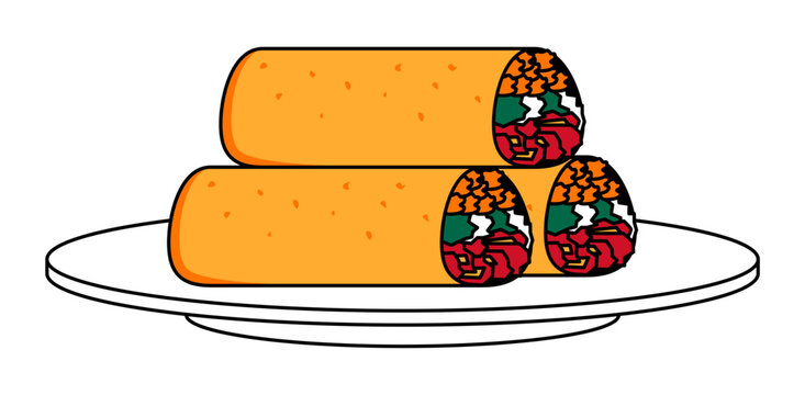Mexican Cuisine Burrito Illustration