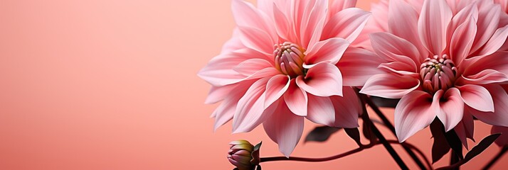 Pink bouquet, flower background