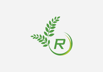 Laurel wreath green leaf logo and Vintage wheat logo design monogram vector