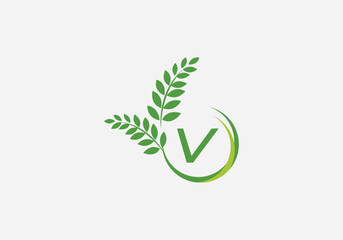 Laurel wreath green leaf logo and Vintage wheat logo design monogram vector