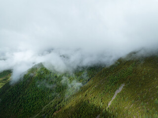 Beautiful sunrise forest landscape in Sichuan,China