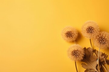 Aerial dandelion with a relaxing and airy atmosphere on a yellow-beige background. Includes copy space. Generative AI