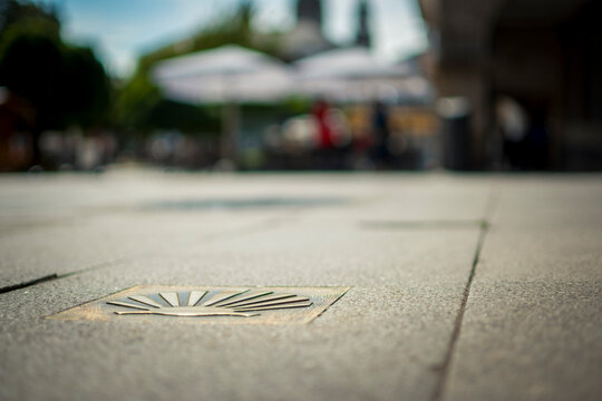 Low angle and selective focus shot of the Camino Santiago St James's shell in the pavement