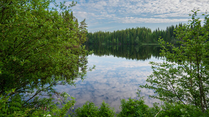 Fototapeta premium Beautiful view of the lake surrounded by coniferous forest