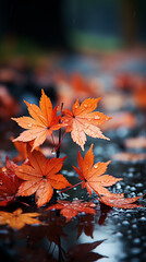 Autumnal tree leaf in the rain, rainy weather autumne background. AI generative