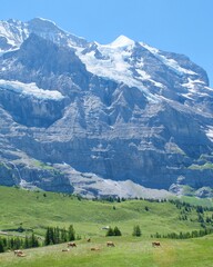 Beautiful mountain switzerland